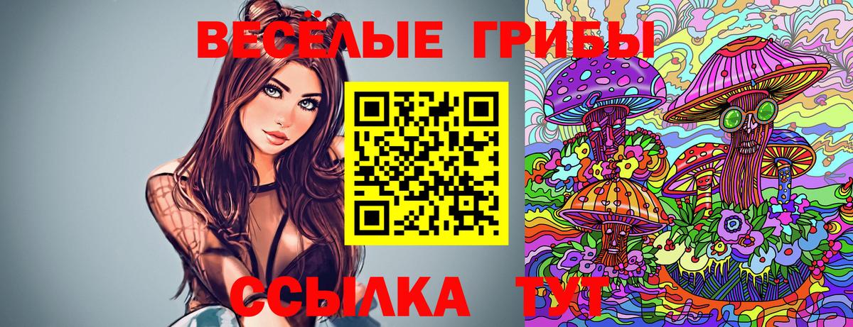 Урай  Псилоцибиновые грибы Cubensis  Вход с VPN 